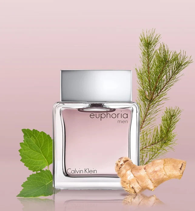 Euphoria by Calvin Klein EDT Perfume for Men 100ml
