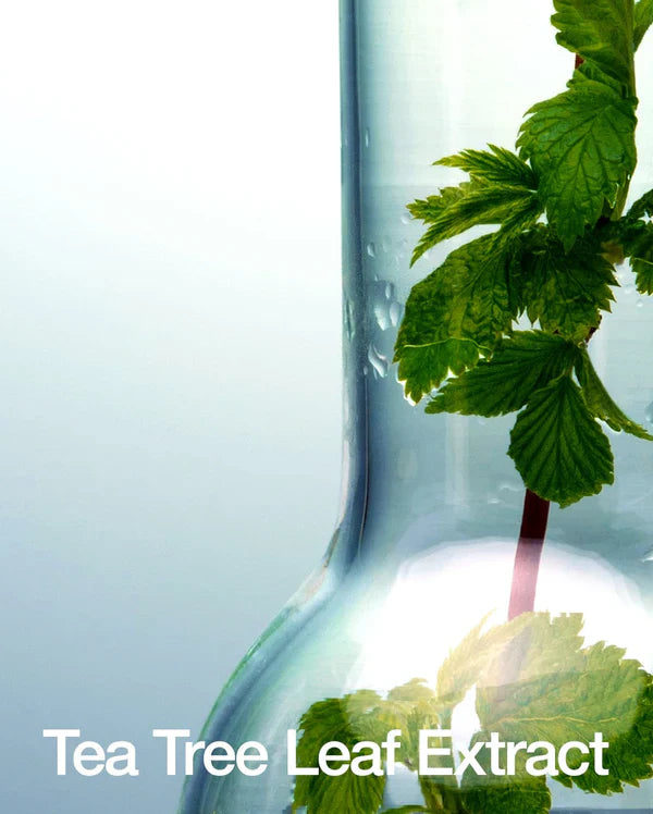 ANUA BHA 2% Gentle Exfoliating Toner 150ml - sheesha