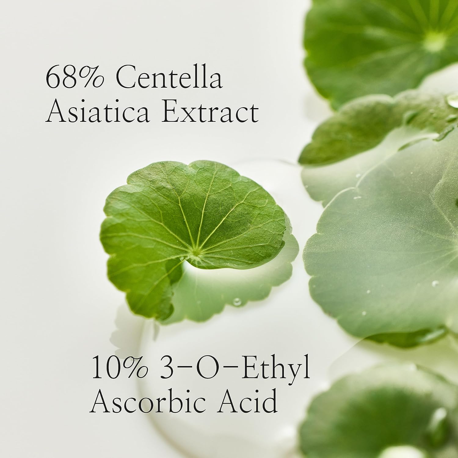Beauty of Joseon Light On Serum Centella + Vita C 30ml - sheesha